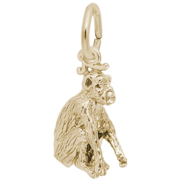 Chimpanzee Charm
