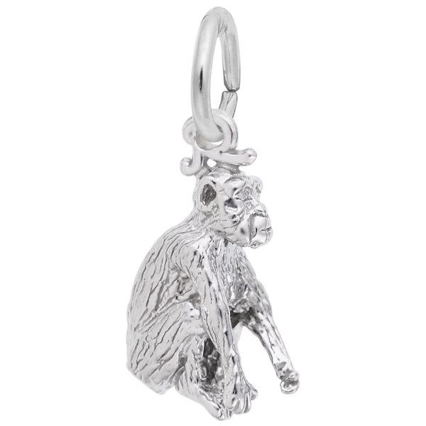 Chimpanzee Charm