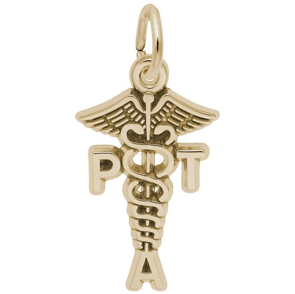 Physical Therapist Assistant Caduceus Charm