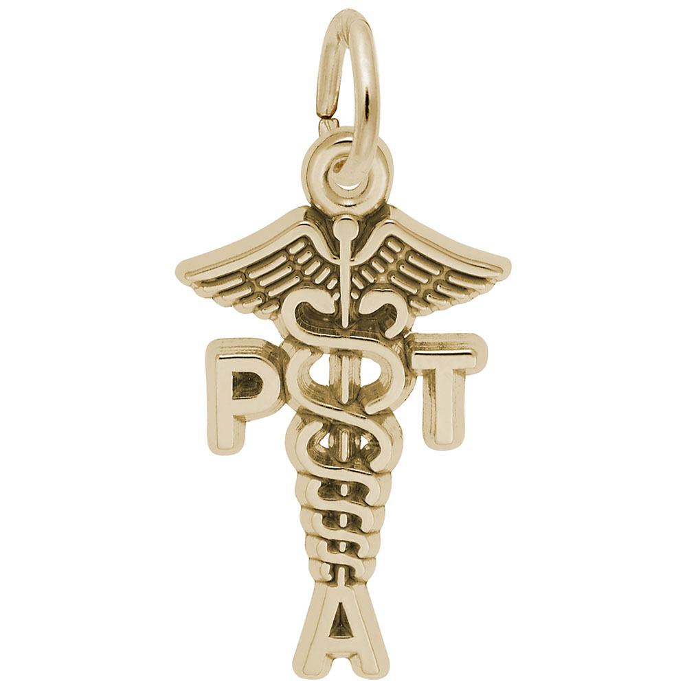 Physical Therapist Assistant Caduceus Charm - Image 1