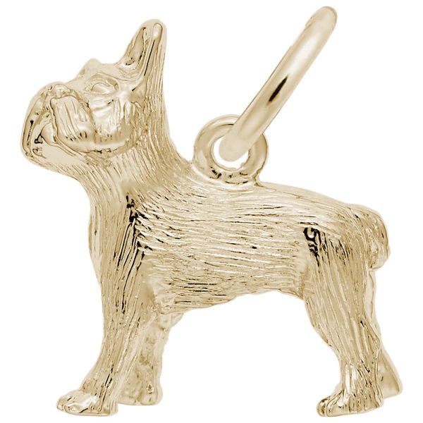 French Bulldog Charm