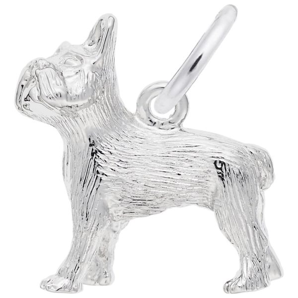 French Bulldog Charm
