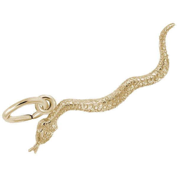 Snake Charm