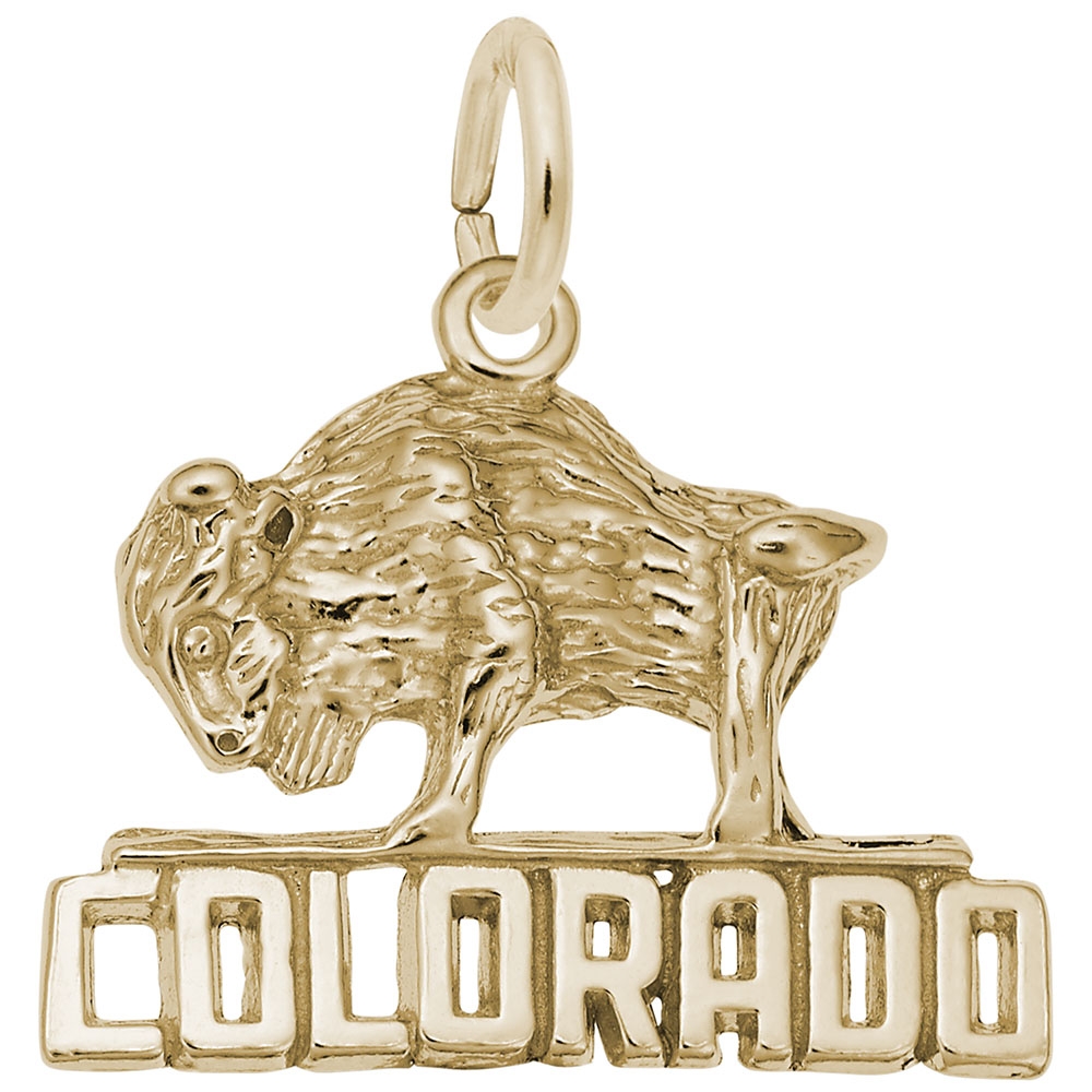 Colorado Bison Charm - Image 1