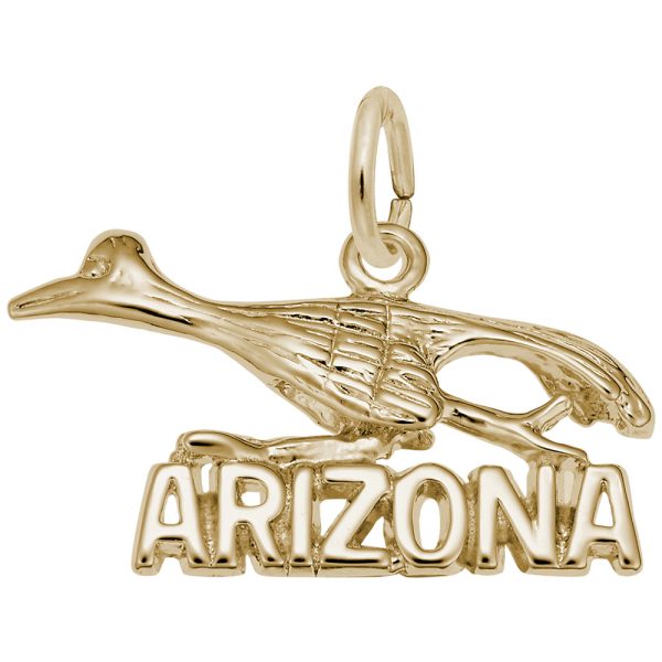 Arizona Road Runner Charm