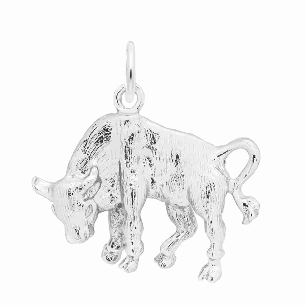 Taurus Charm