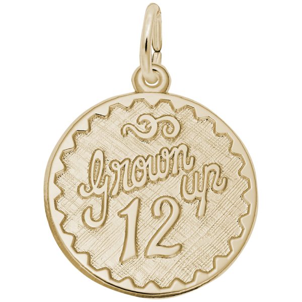 Grown Up Twelve Disc Charm