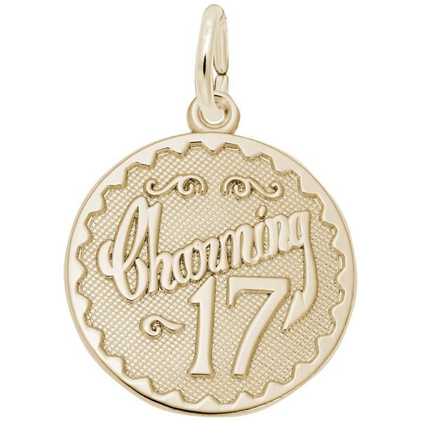 Charming Seventeen Disc Charm