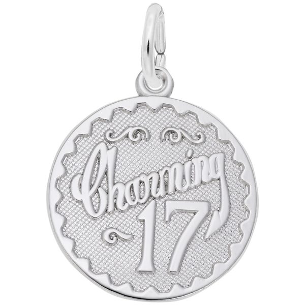 Charming Seventeen Disc Charm