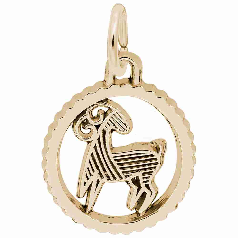 Capricorn - Image 1