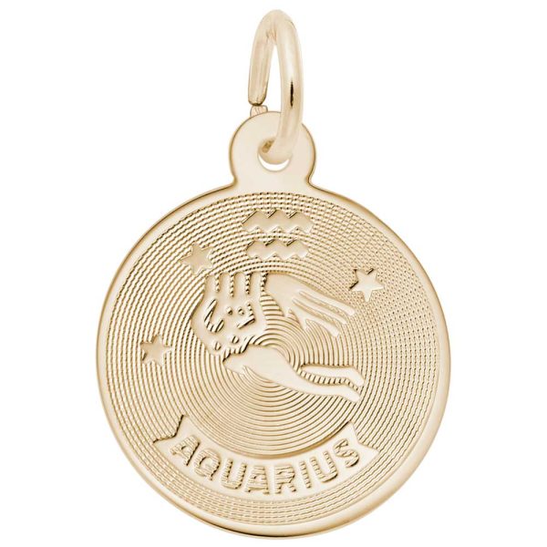 Aquarius Charm