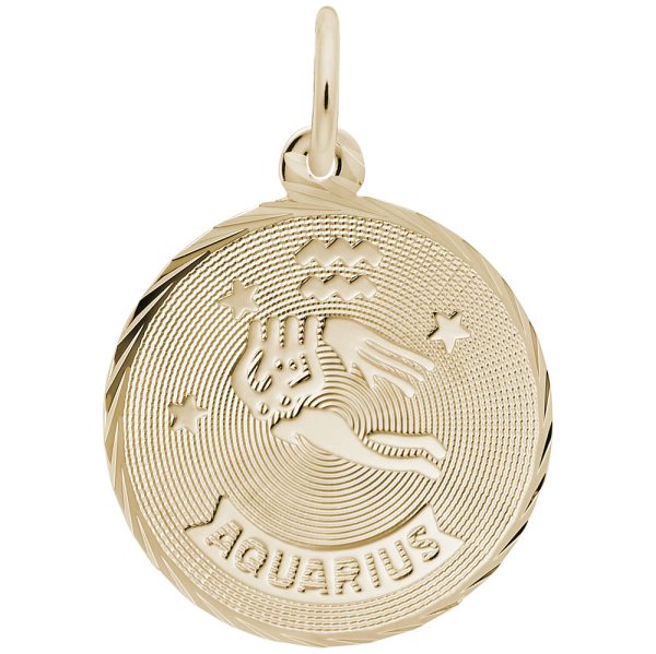 Aquarius Constellation Disc Charm