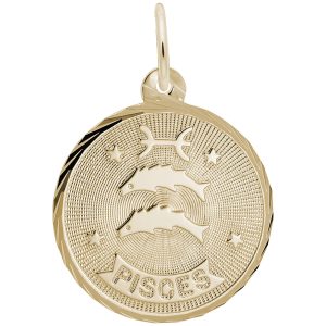 Pisces Constellation Disc Charm