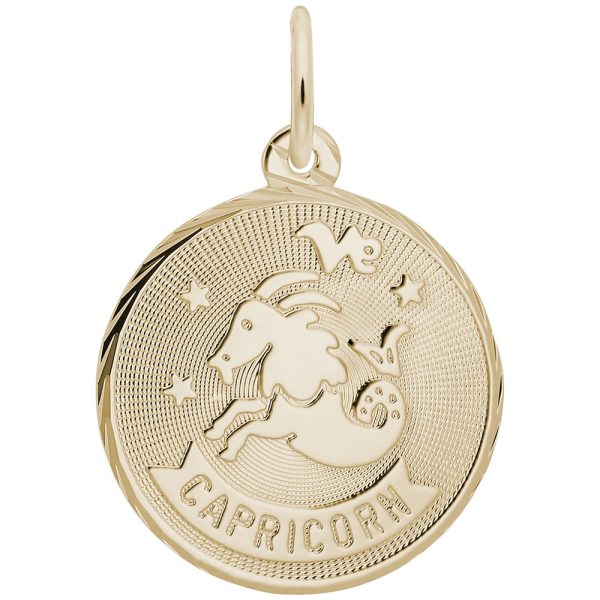 Capricorn Constellation Disc Charm