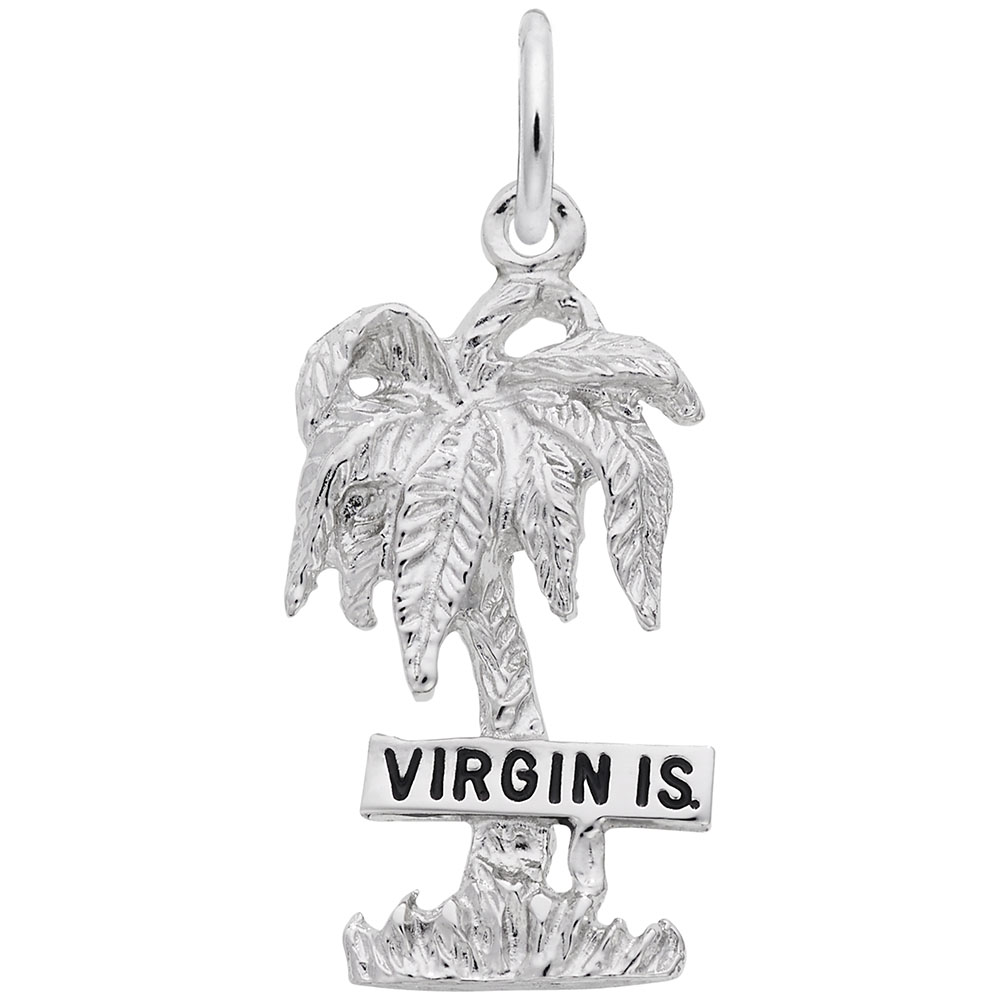 Virgin Islands Palm Tree Charm - Image 1