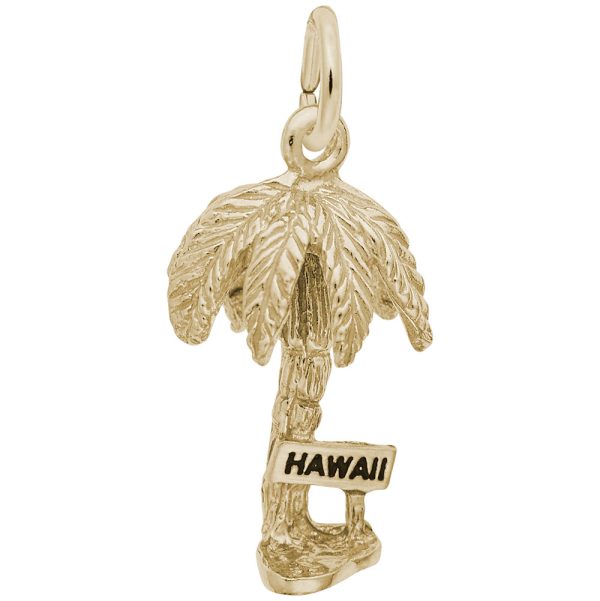 Hawaii Palm Tree Charm