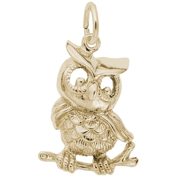Horned Owl Charm