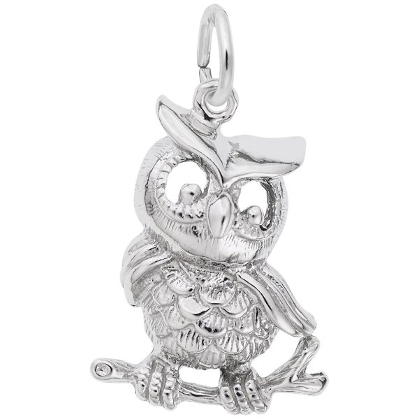 Horned Owl Charm