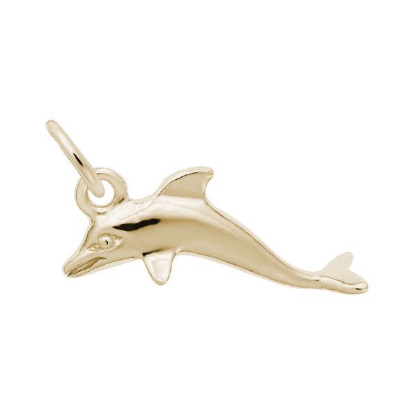Dolphin Accent Charm