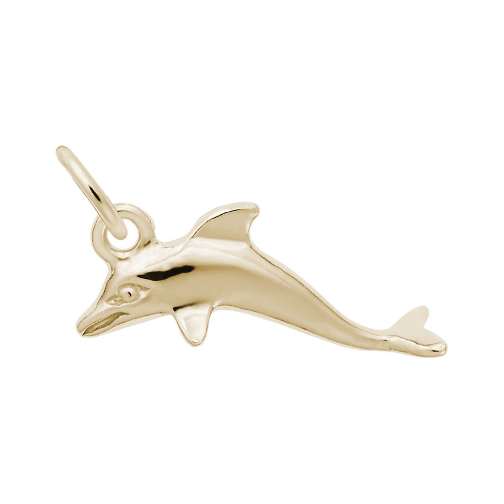 Dolphin Accent Charm - Image 1
