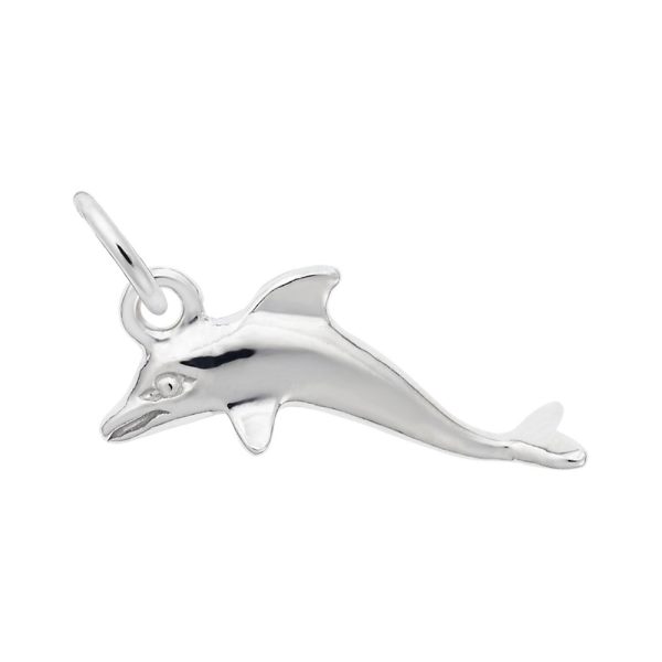 Dolphin Accent Charm