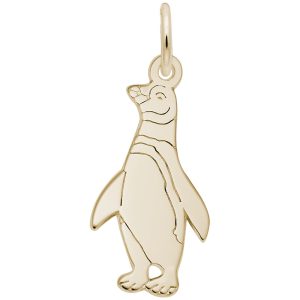 Flat Penguin Charm