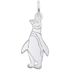 Flat Penguin Charm