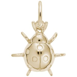 Ladybug Charm