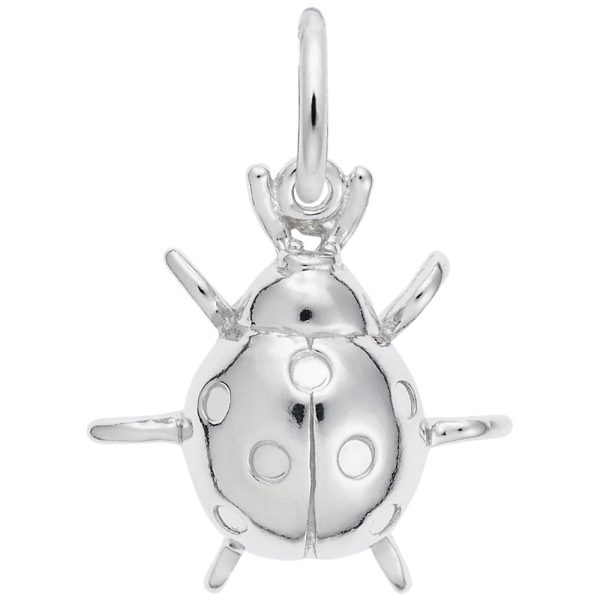 Ladybug Charm