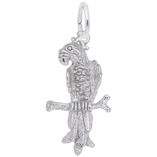 Macaw Parrot Charm
