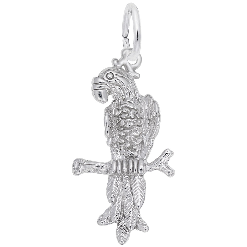 Macaw Parrot Charm