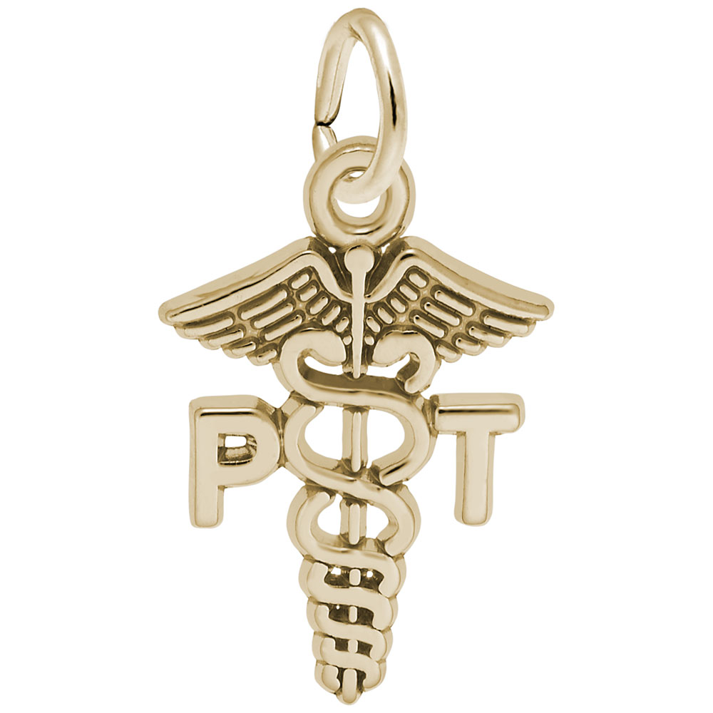 Physical Therapist Caduceus Charm - Image 1