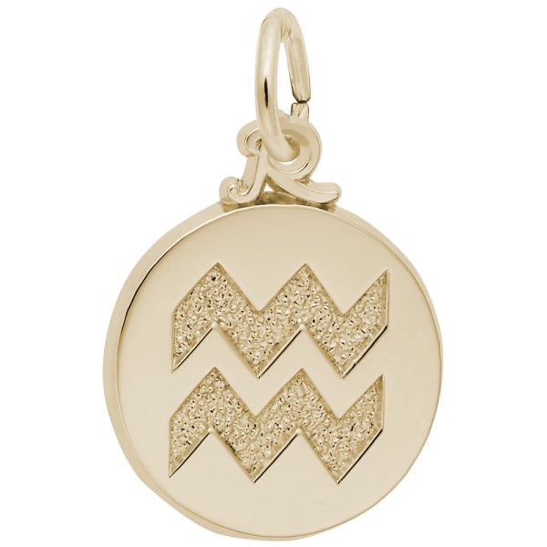 Aquarius Symbol of the Sky Charm