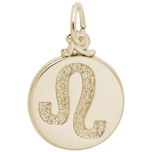 Leo Symbol of the Sky Charm