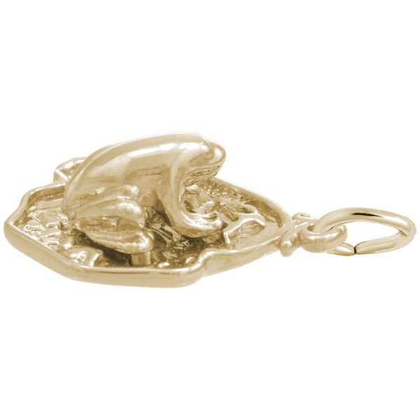 Frog on Lily Pad Charm