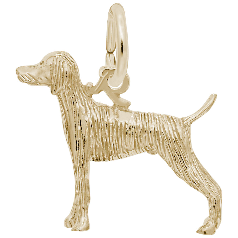 Weimaraner Dog Charm