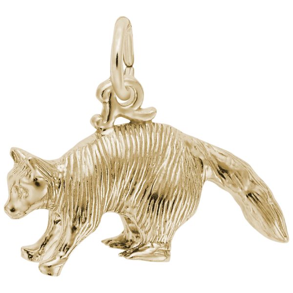 Raccoon Charm