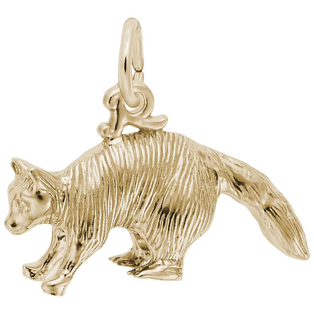 Raccoon Charm