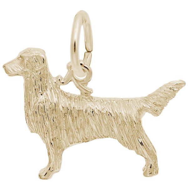 Retriever Dog Charm