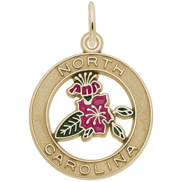 North Carolina Azalea Charm