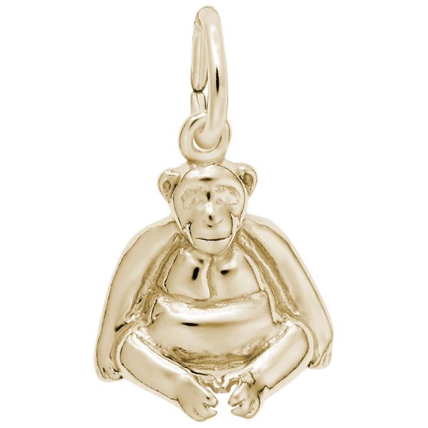 Sitting Monkey Charm
