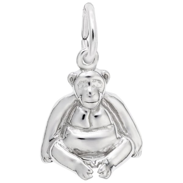 Sitting Monkey Charm