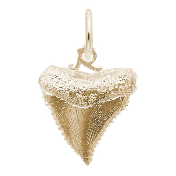 Shark Tooth Charm