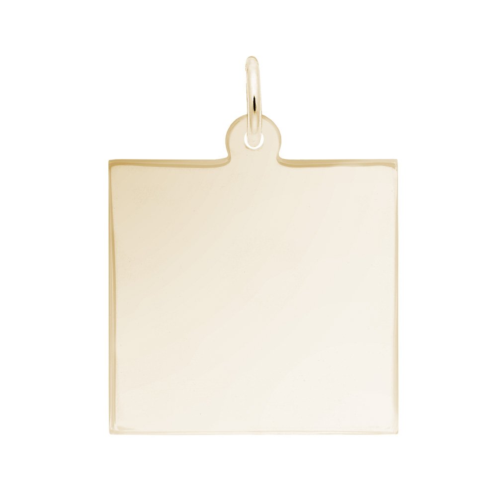 Square Disc Charm