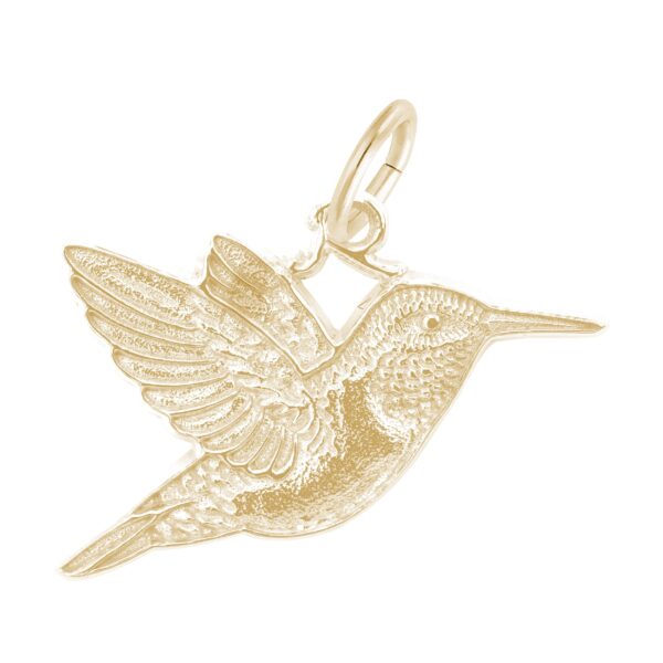 Hummingbird Charm