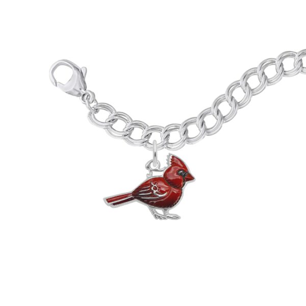Painted Cardinal Bracelet Set