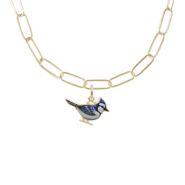 Painted Blue Jay Necklace Set