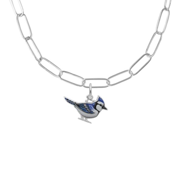 Painted Blue Jay Necklace Set
