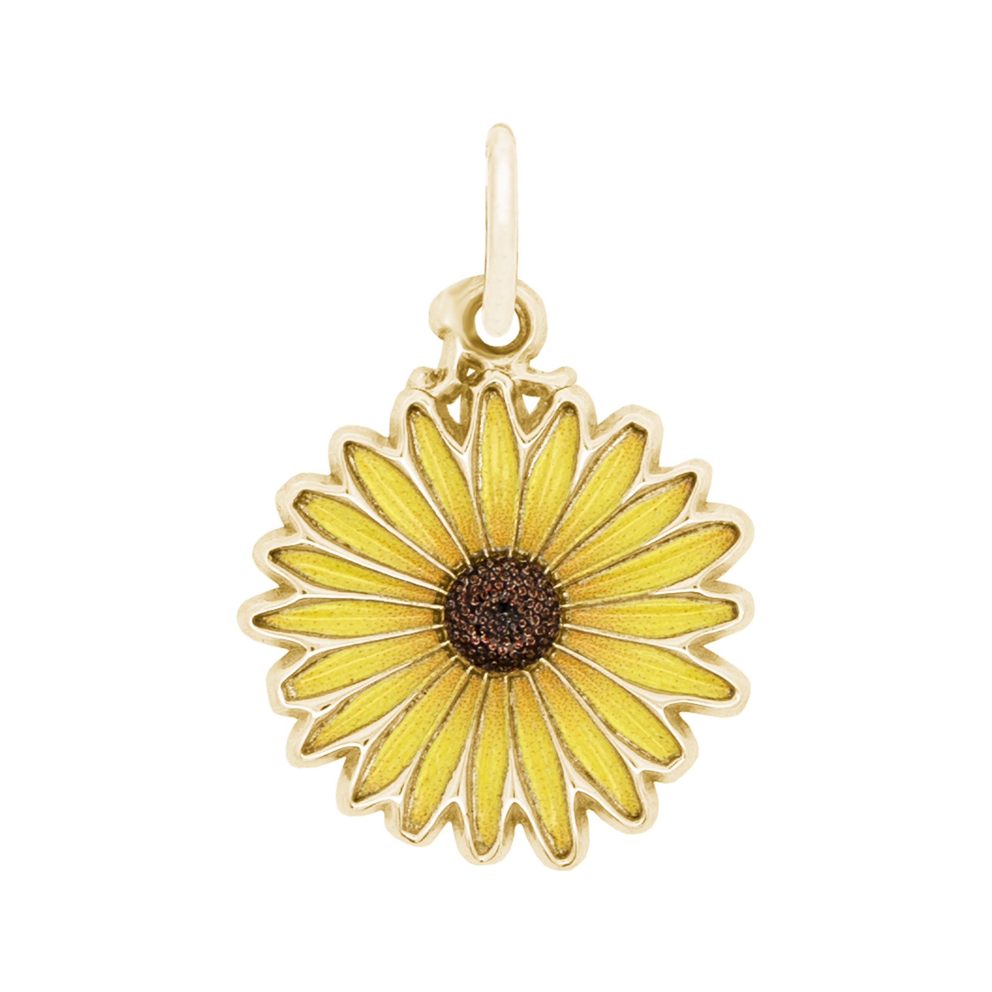 Painted Black Eyed Susan - Image 1