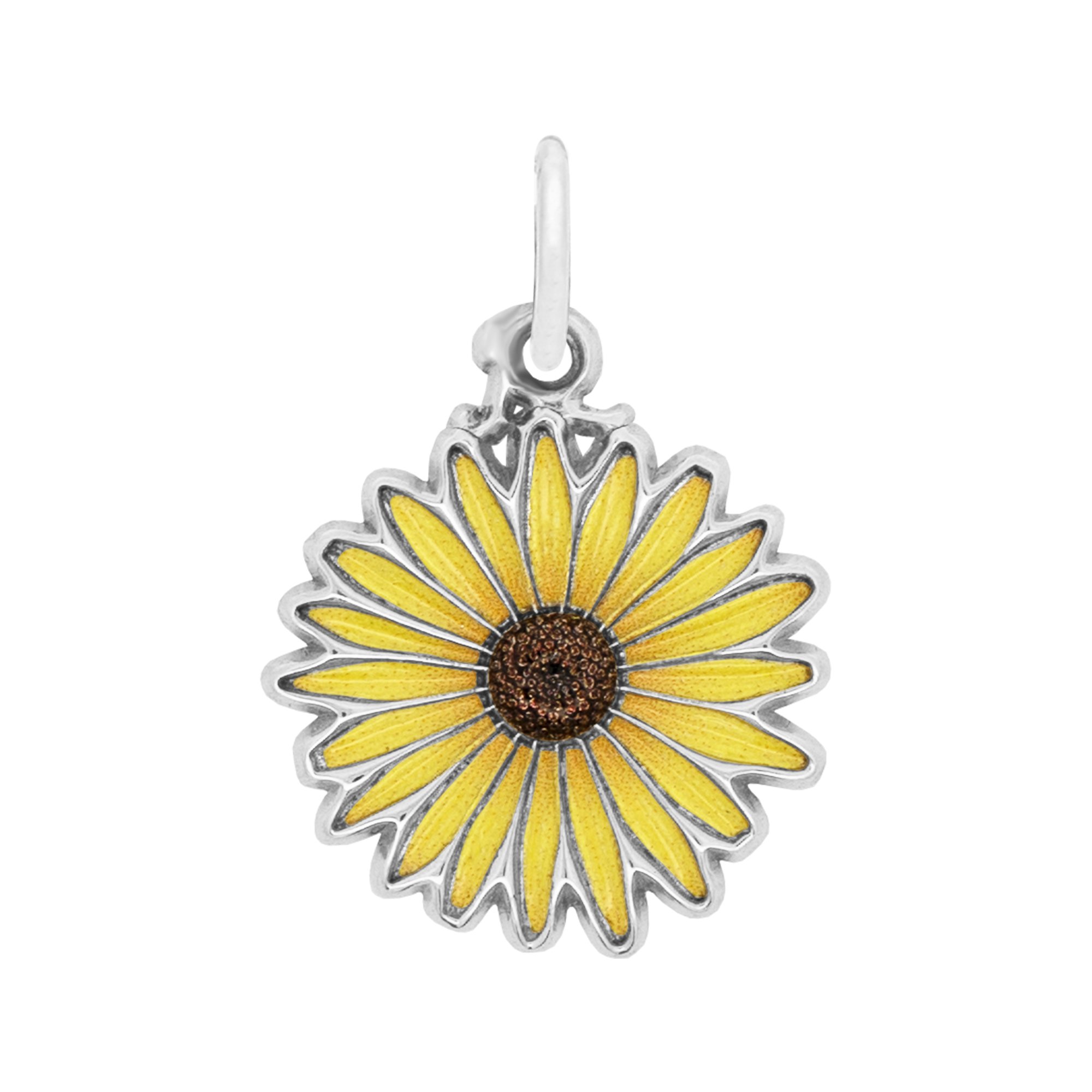 Painted Black Eyed Susan